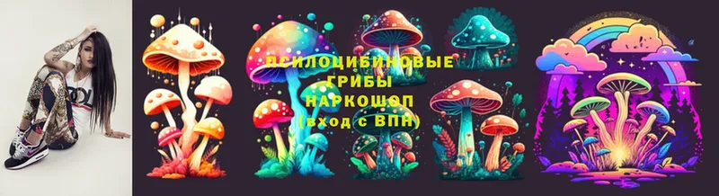 Галлюциногенные грибы Psilocybine cubensis  наркота  Удомля 